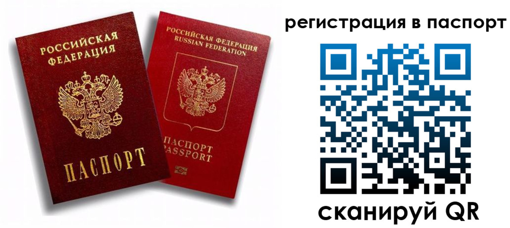 прописка 2025 в Сланцах